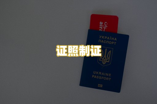 证照制证
